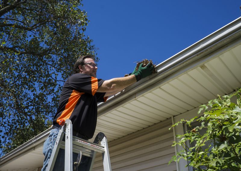 Gutter Leaf Clearing in Richmond, VA