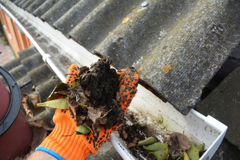 Clogged Gutter Clearing in Frederick, MD