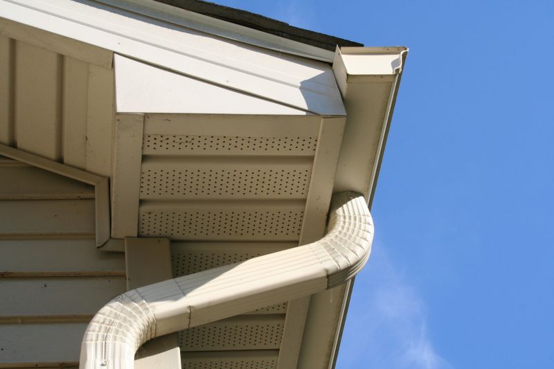 Downspout Cleaning in Richmond, VA