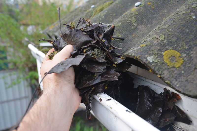 Downspout Cleaning in Longmont, CO