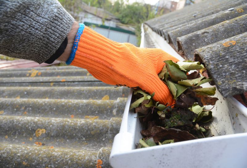 Gutter Leaf Clearing in Rochester, NY