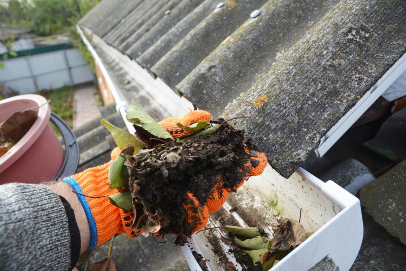 Gutter Leaves Removal in Baltimore, MD