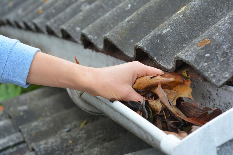 Gutter Leaves Removal in Annapolis, MD