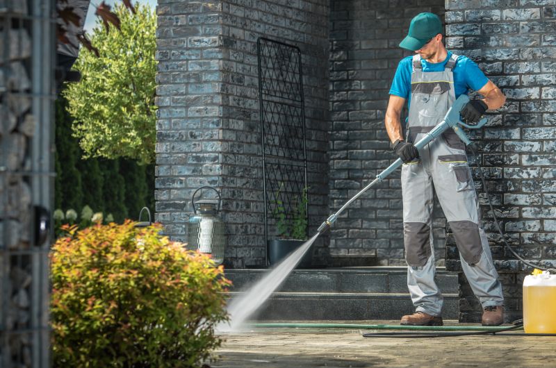 Professional Powerwasher