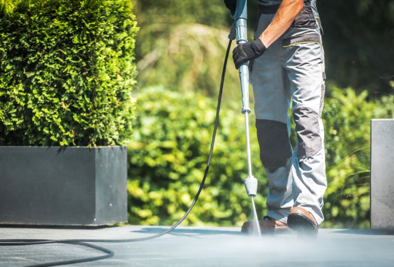 Specialized Patio Cleaning Services
